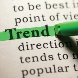 fabric consultancy, yarn consultancy, textile advisory