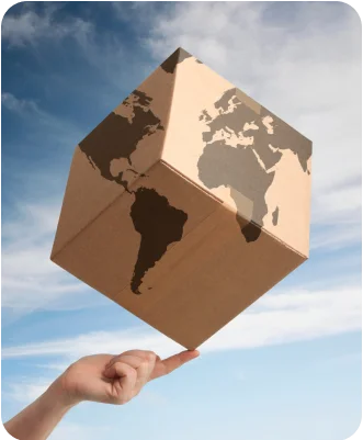 Import Solutions for Competitive Edge