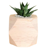 Natural fibers used in plant-based textiles promoting sustainability